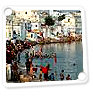 tour guide delhi, pushkar tour 2024, pushkar camel fair 2024, rajasthan pushkar fair
